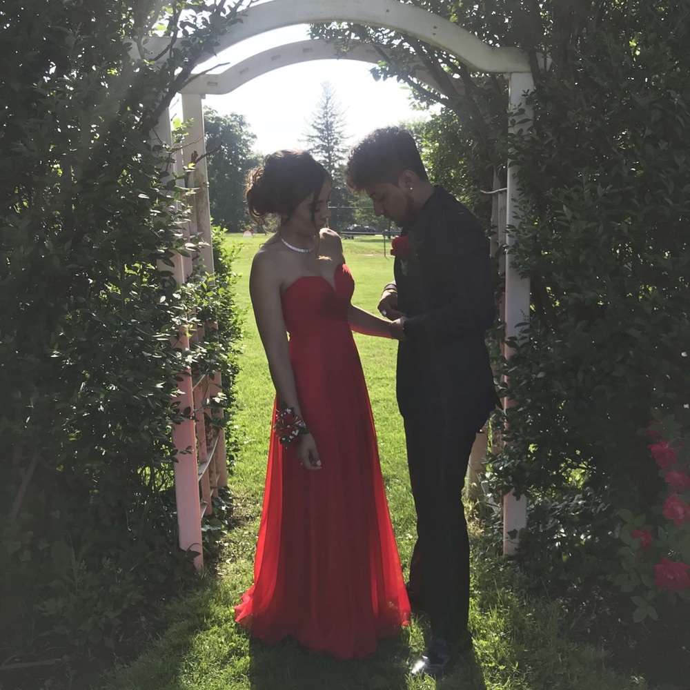 Red Gown (Prom Dress)